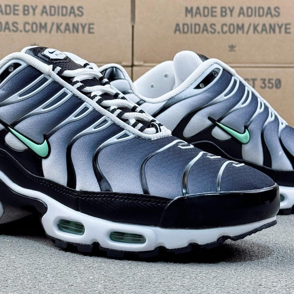 Nike Air Max Plus Tn
