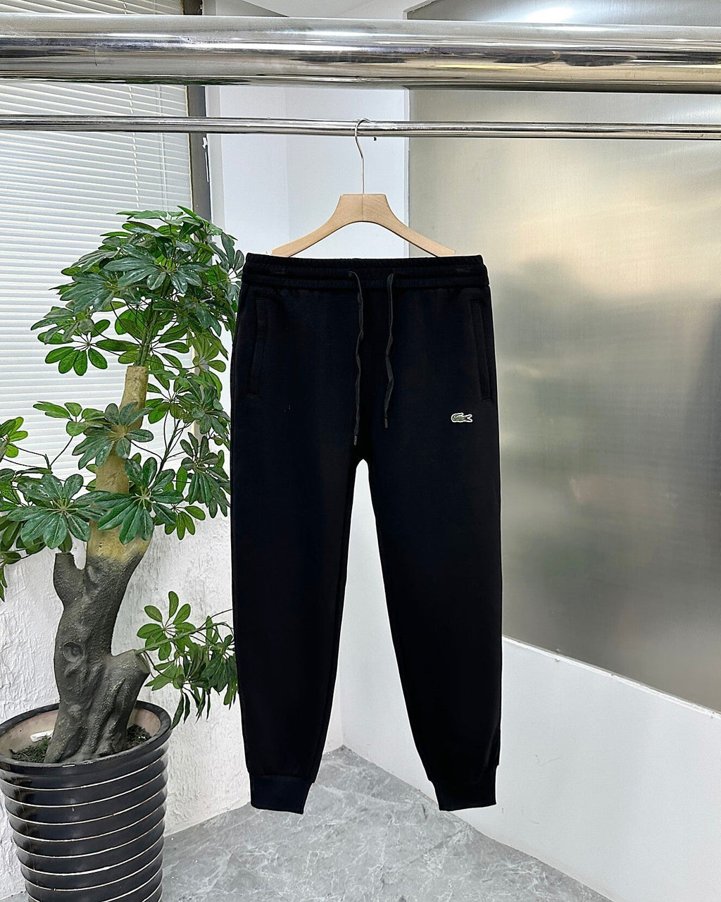 Lacoste Pants