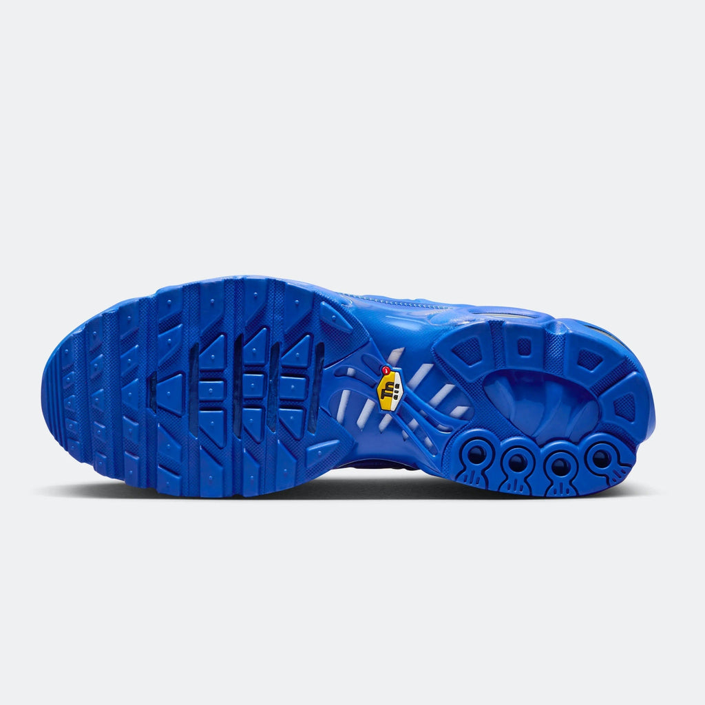 Nike Air Max Plus TN x ACW House Blue